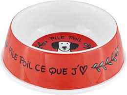 Plato para perro