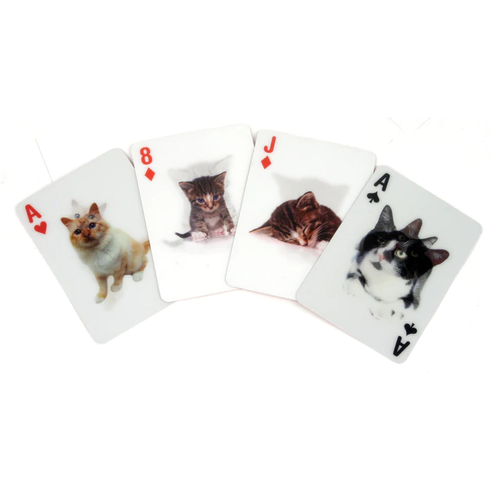 Cartas de Gato (3D Holográficas)
