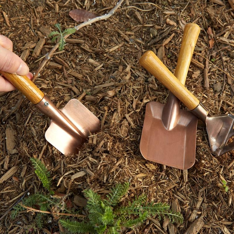 Kit de jardinería - gardening tool set.